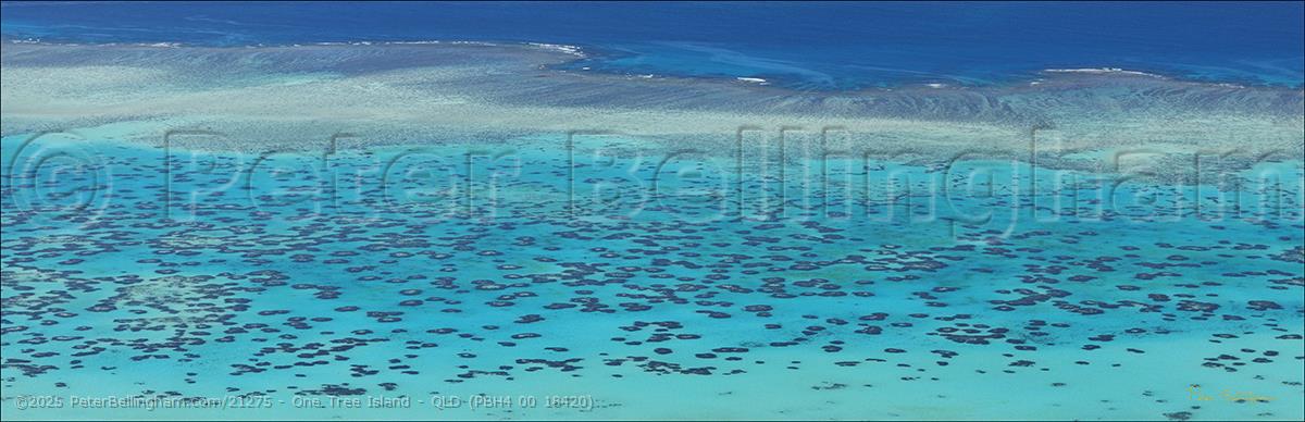 Peter Bellingham Photography One Tree Island - QLD (PBH4 00 18420)